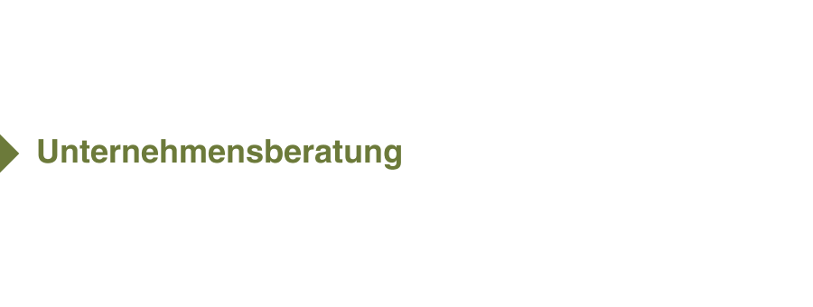 Unternehmensberatung